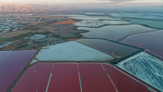 Salt Ponds Near Don Edwards San Francisco Bay National Wildlife Refuge