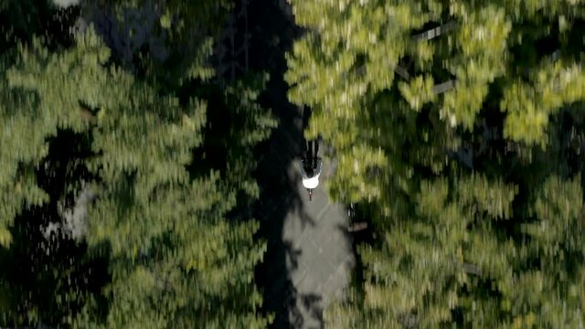 Aerial drone camera view of bike rider cycling through the city between trees. You can see cyclist silhouette shadow from top down perspective.