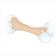 Hand-drawn dog bone isolated on white background. Food waste. Vector illustration