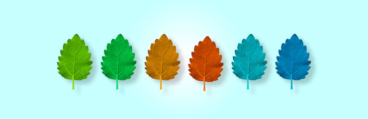 Colorful autumn leaves on a blue background