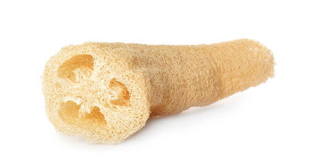 One natural loofah sponge isolated on white