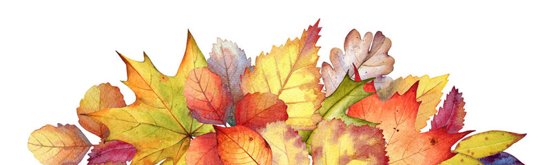 Watercolor bouquet with colorful autumn leaves