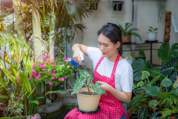 A young woman who enjoys gardening at home during holidays and working remotely, loves potted plants, self-employed and love of houseplants, freelance.