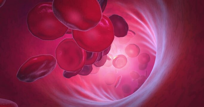 Red blood cells pumped through an artery during blood circulation - 3d illustration