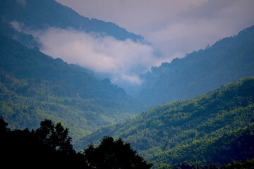 Chong Yen