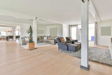 Spacious room interior with furniture and columns at home