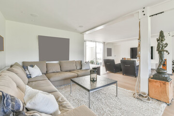 Spacious room interior with furniture and columns at home