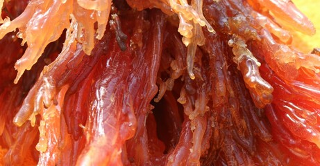 resin - from Larch trees