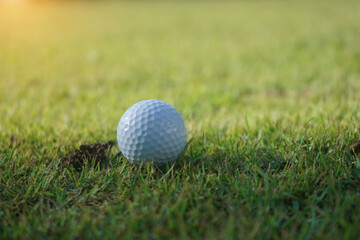 Golf ball on Green field golf course in morning time with soft sunlight.