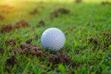 Golf ball on Green field golf course in morning time with soft sunlight.
