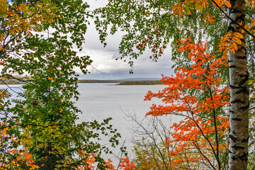 tree branches and the chusovaya river in an autumn day