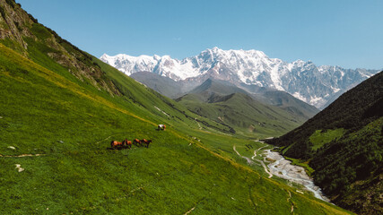 Mountain, alps, view, snow