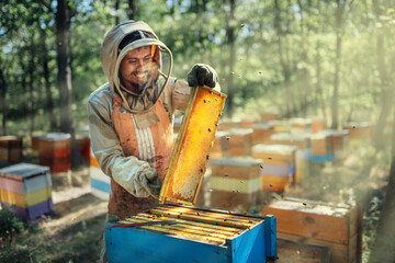 Fototapeta Joyful beekeeper holding a frame with honeycombs. Harvest of beekeeping products in the apiary. obraz