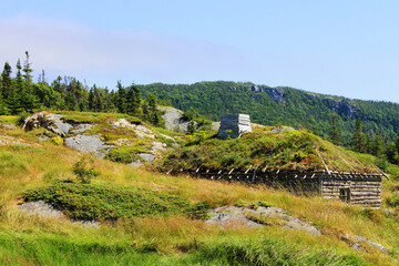 Fototapeta na wymiar A log cabin with a sod roof sticks up out of a small valley in a grassy meadow, Random Passage site, New Bonaventure, NL.