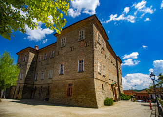 Fototapeta na wymiar Castello di Mango - Piemonte - Langhe - Uva