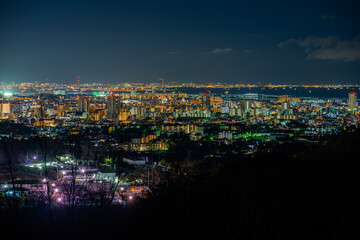 Fototapeta na wymiar 関西の夜景