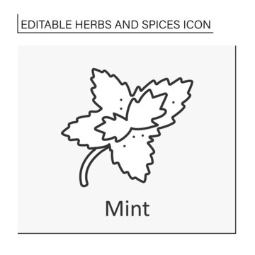 Mint line icon. Aromatic herb. Chilling plant for tea, hard drinks and medicine. Herbs and spices concept. Isolated vector illustration. Editable stroke