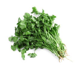 Bunch of fresh coriander on white background, top view