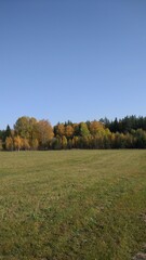 Autumn forest, autumn foliage, autumn trees and weather. Everything breathes in autumn, it's autumn time.