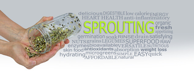 The results of sprouting seeds word cloud - female holding a glass jar containing sprouted seeds...