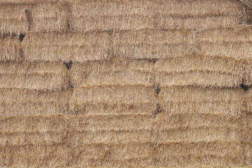 Natural golden background with straw in haystack