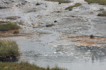 Stream in Yellowstone National Park with colored bacteria