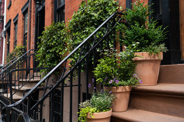 Fototapeta na wymiar Potted Plants on Stairs Outside the Entrance of an Old Brownstone Home in Greenwich Village of New York City