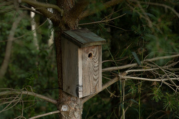 wooden birdhouse hanging on a tree in garden