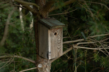 wooden birdhouse hanging on a tree in garden