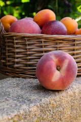 Red peach on a wicker basket background in the Provence garden. Peaches, apricots, nectarines. Rural still life. Vertical image. 