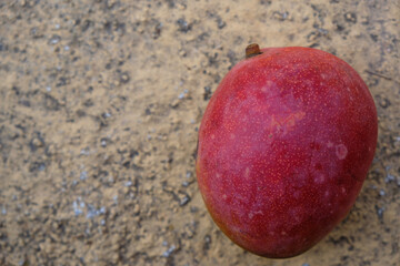 Red mango on a beige stone background on a cloudy day. Copy space.