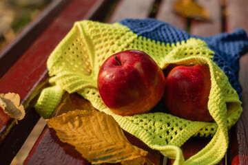 Red apples in a yellow blue string bag on the bench. Zero waste concept knitted bag.
