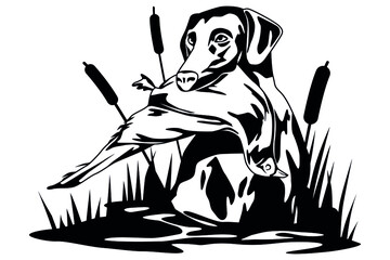 Duck hunt dog