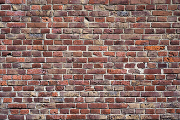 brick wall / texture / background