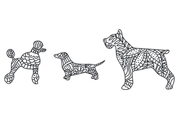 Dogs zentangle stylized, vector, illustration, freehand pencil, hand drawn, pattern. Zen art. Black and white illustration on white background.