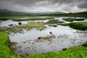 Landscape along the West highland Way in Scotland. a view of Rannoch moor, between moor and marsh, in the rain.