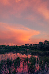 A wonderful sunset, by the river. Beautiful view of the clouds and the sky of delicate pink and orange colors. The setting sun paints the sky in delicate colors.