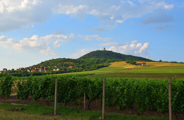 Vrsacke planine. At the foot of this hill is located town of Vrsac. (Vrsac town, Vojvodina, Eastern...