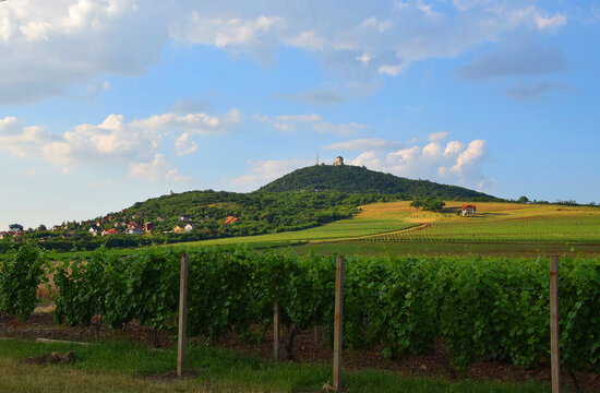 Vrsacke planine. At the foot of this hill is located town of Vrsac. (Vrsac town, Vojvodina, Eastern Europe)