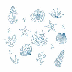 Set of sea design elements. Vector shell, starfish, scallop, algae, seaweed, coral. Isolated line illustration.