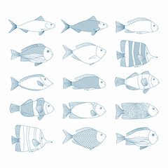 Set of vector outline fish illustrations. Sea blue icons. 