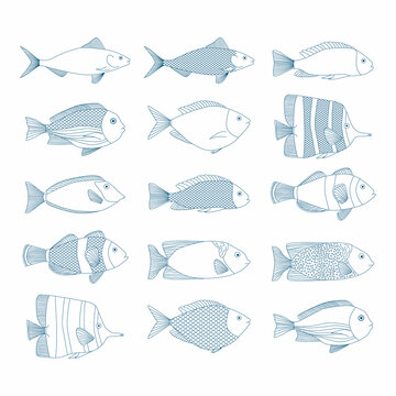 Set of vector outline fish illustrations. Sea blue icons. 