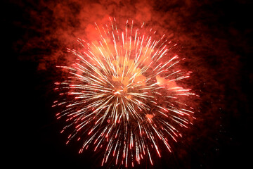 Beautiful bright firework lighting up night sky