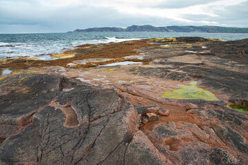 beach on the northern ocean is made of stones covered with colorful moss. Teriberka, Barents Sea, Murmansk region, Kola Peninsula
