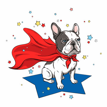 Cute french bulldog in superhero cape. Stylish image for printing on any surface	