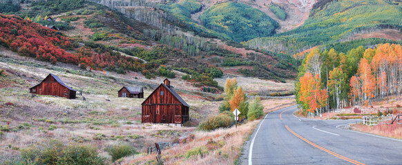 Fall foliage along scenic Last dollar road in rural Colorado