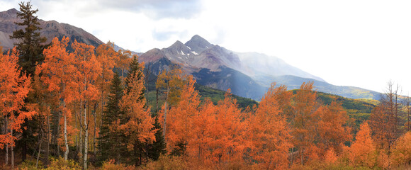 Panoramic view of bright fall foliage in San Juan mountains of Colorado