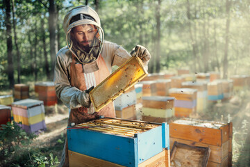 The beekeeper holds a frame with honeycombs. Harvest of beekeeping products in the apiary.
