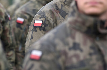 Polish Armed Forces. Armed Forces of the Republic of Poland. Flags of Poland on military uniform....