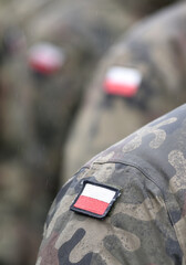 Polish Armed Forces. Armed Forces of the Republic of Poland. Flags of Poland on military uniform. Polish army.